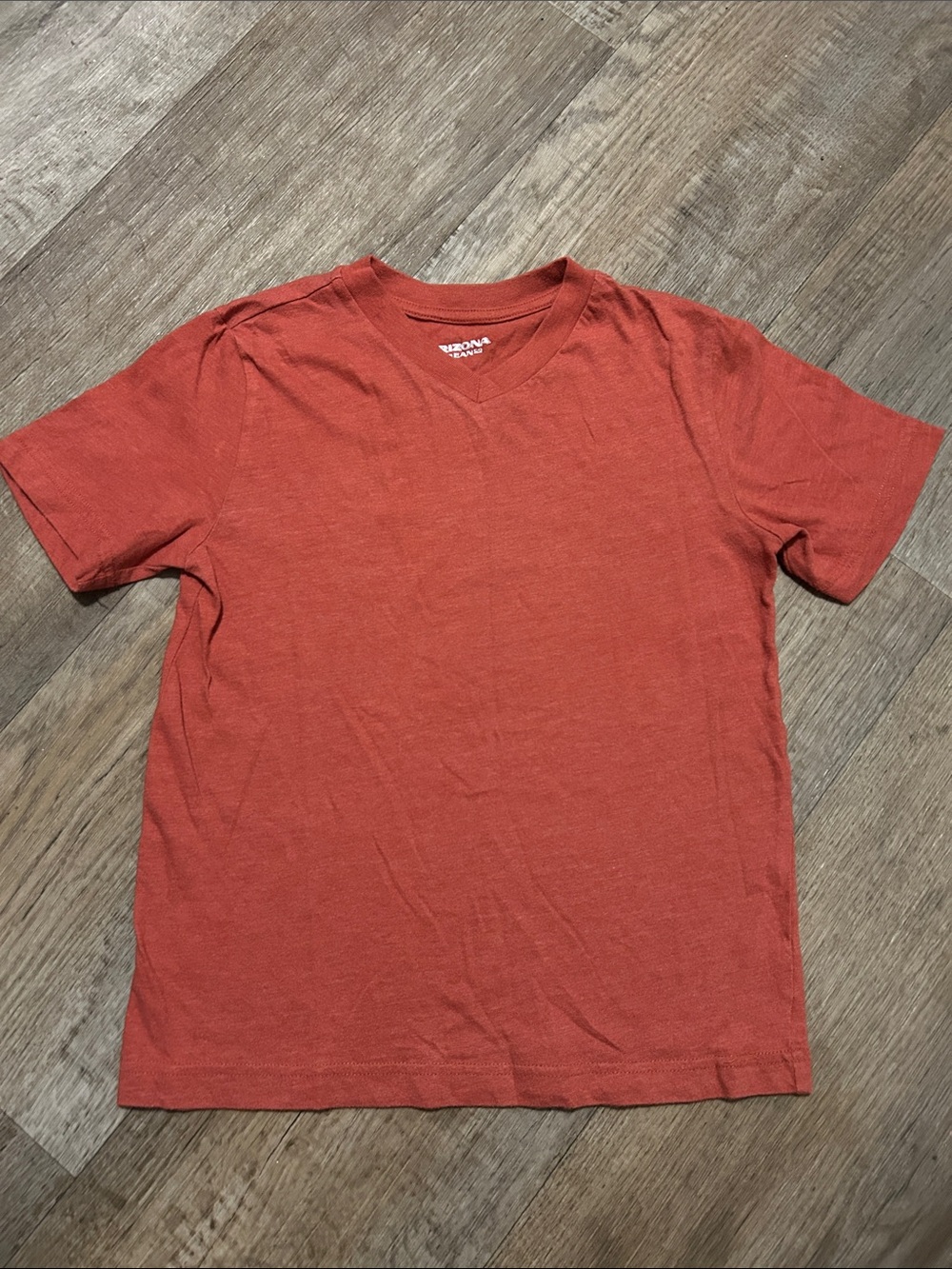 Arizona Jean Company Men's Short-Sleeve V-Neck Tee in Terracotta